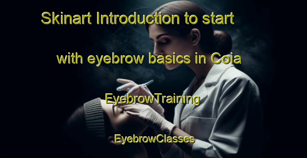 Skinart Introduction to start with eyebrow basics in Coia | EyebrowTraining | EyebrowClasses | SkinartTraining-Italy