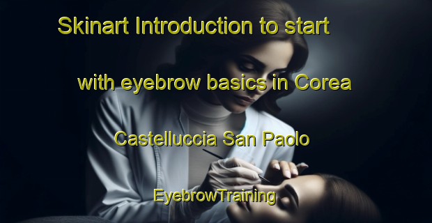 Skinart Introduction to start with eyebrow basics in Corea Castelluccia San Paolo | EyebrowTraining | EyebrowClasses | SkinartTraining-Italy