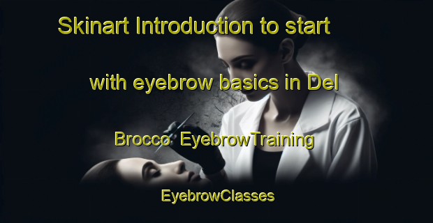 Skinart Introduction to start with eyebrow basics in Del Brocco | EyebrowTraining | EyebrowClasses | SkinartTraining-Italy
