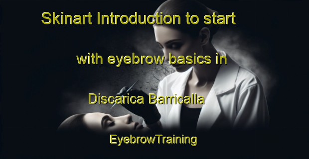 Skinart Introduction to start with eyebrow basics in Discarica Barricalla | EyebrowTraining | EyebrowClasses | SkinartTraining-Italy