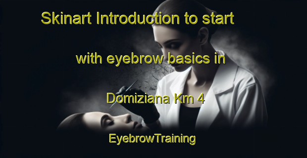 Skinart Introduction to start with eyebrow basics in Domiziana Km 4 | EyebrowTraining | EyebrowClasses | SkinartTraining-Italy