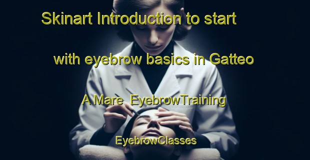 Skinart Introduction to start with eyebrow basics in Gatteo A Mare | EyebrowTraining | EyebrowClasses | SkinartTraining-Italy