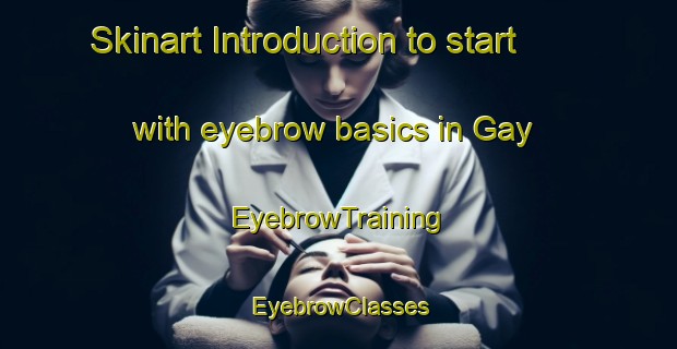Skinart Introduction to start with eyebrow basics in Gay | EyebrowTraining | EyebrowClasses | SkinartTraining-Italy