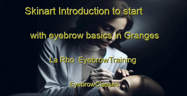 Skinart Introduction to start with eyebrow basics in Granges La Rho | EyebrowTraining | EyebrowClasses | SkinartTraining-Italy