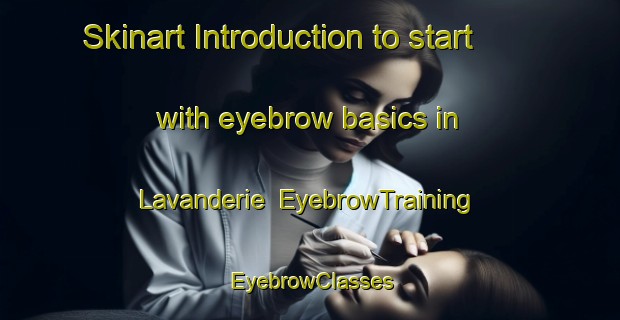 Skinart Introduction to start with eyebrow basics in Lavanderie | EyebrowTraining | EyebrowClasses | SkinartTraining-Italy