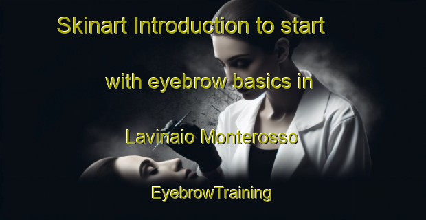 Skinart Introduction to start with eyebrow basics in Lavinaio Monterosso | EyebrowTraining | EyebrowClasses | SkinartTraining-Italy