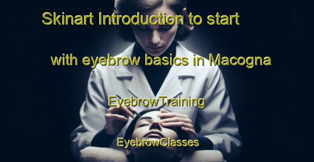 Skinart Introduction to start with eyebrow basics in Macogna | EyebrowTraining | EyebrowClasses | SkinartTraining-Italy