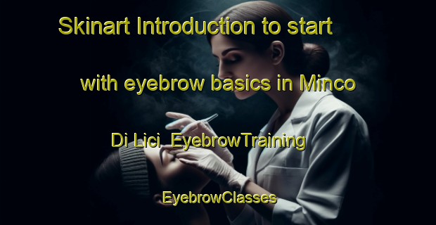 Skinart Introduction to start with eyebrow basics in Minco Di Lici | EyebrowTraining | EyebrowClasses | SkinartTraining-Italy