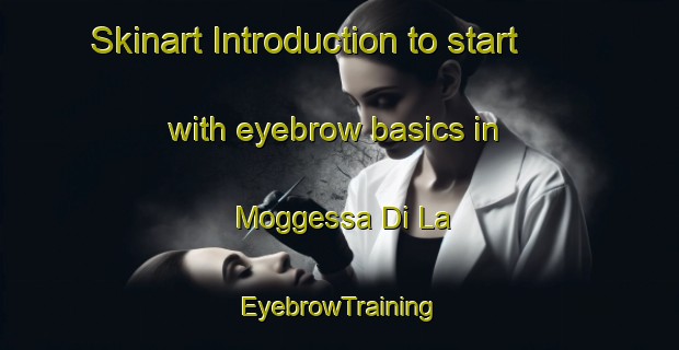 Skinart Introduction to start with eyebrow basics in Moggessa Di La | EyebrowTraining | EyebrowClasses | SkinartTraining-Italy