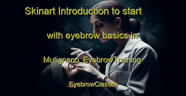 Skinart Introduction to start with eyebrow basics in Mutignano | EyebrowTraining | EyebrowClasses | SkinartTraining-Italy