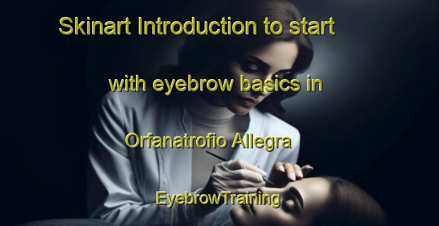 Skinart Introduction to start with eyebrow basics in Orfanatrofio Allegra | EyebrowTraining | EyebrowClasses | SkinartTraining-Italy