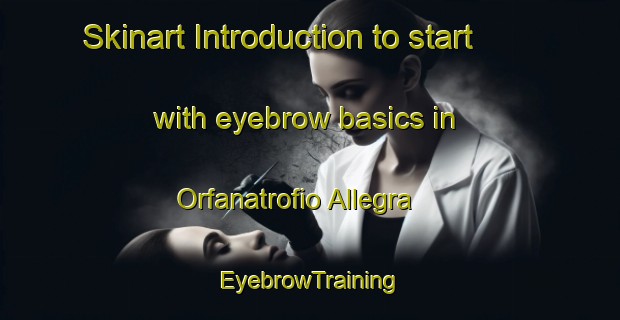Skinart Introduction to start with eyebrow basics in Orfanatrofio Allegra | EyebrowTraining | EyebrowClasses | SkinartTraining-Italy