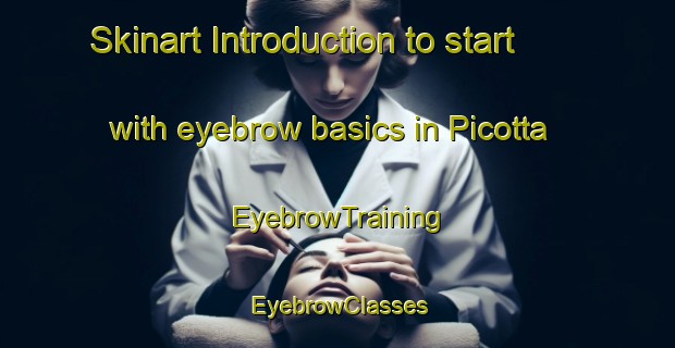 Skinart Introduction to start with eyebrow basics in Picotta | EyebrowTraining | EyebrowClasses | SkinartTraining-Italy