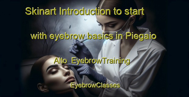 Skinart Introduction to start with eyebrow basics in Piegaio Alto | EyebrowTraining | EyebrowClasses | SkinartTraining-Italy