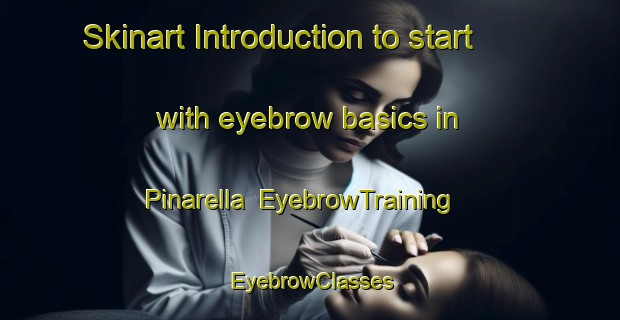 Skinart Introduction to start with eyebrow basics in Pinarella | EyebrowTraining | EyebrowClasses | SkinartTraining-Italy