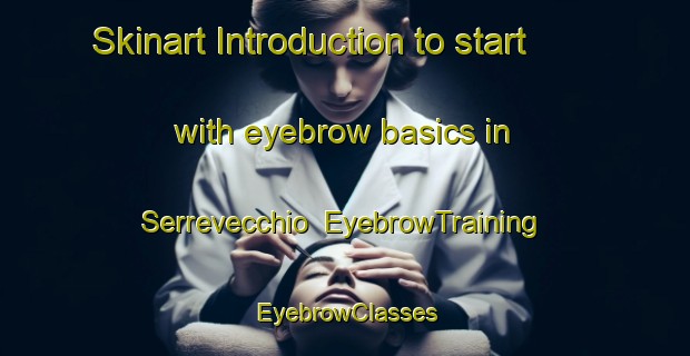 Skinart Introduction to start with eyebrow basics in Serrevecchio | EyebrowTraining | EyebrowClasses | SkinartTraining-Italy