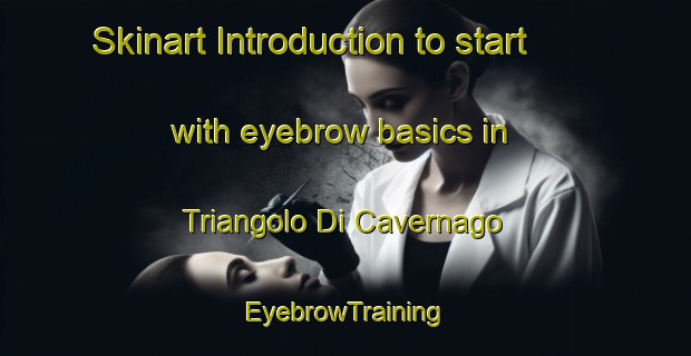 Skinart Introduction to start with eyebrow basics in Triangolo Di Cavernago | EyebrowTraining | EyebrowClasses | SkinartTraining-Italy