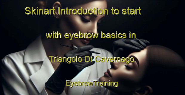 Skinart Introduction to start with eyebrow basics in Triangolo Di Cavernago | EyebrowTraining | EyebrowClasses | SkinartTraining-Italy