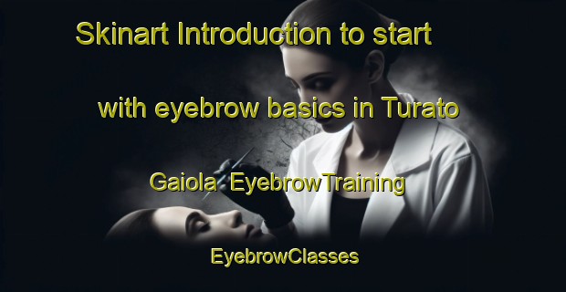 Skinart Introduction to start with eyebrow basics in Turato Gaiola | EyebrowTraining | EyebrowClasses | SkinartTraining-Italy