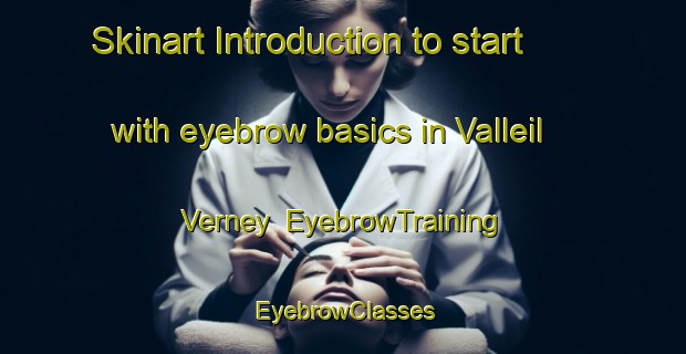 Skinart Introduction to start with eyebrow basics in Valleil Verney | EyebrowTraining | EyebrowClasses | SkinartTraining-Italy