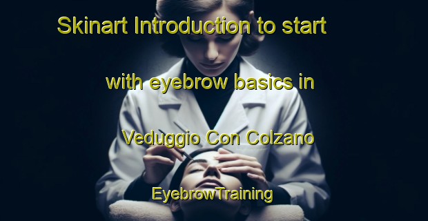 Skinart Introduction to start with eyebrow basics in Veduggio Con Colzano | EyebrowTraining | EyebrowClasses | SkinartTraining-Italy