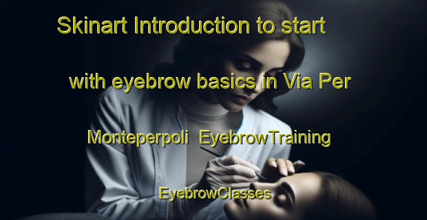 Skinart Introduction to start with eyebrow basics in Via Per Monteperpoli | EyebrowTraining | EyebrowClasses | SkinartTraining-Italy