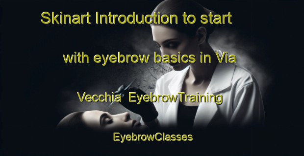 Skinart Introduction to start with eyebrow basics in Via Vecchia | EyebrowTraining | EyebrowClasses | SkinartTraining-Italy