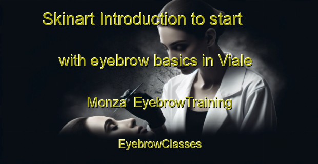 Skinart Introduction to start with eyebrow basics in Viale Monza | EyebrowTraining | EyebrowClasses | SkinartTraining-Italy