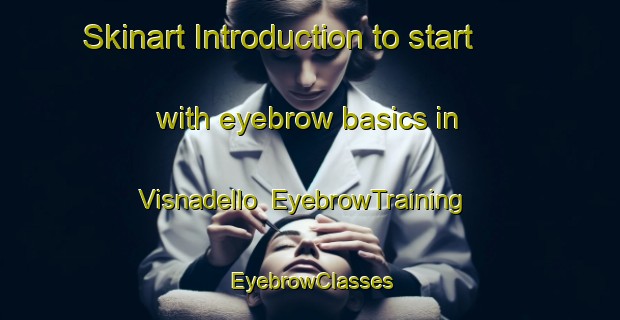 Skinart Introduction to start with eyebrow basics in Visnadello | EyebrowTraining | EyebrowClasses | SkinartTraining-Italy