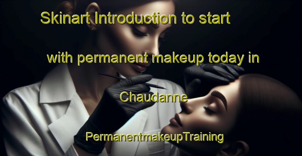 Skinart Introduction to start with permanent makeup today in Chaudanne | PermanentmakeupTraining | PermanentmakeupClasses | SkinartTraining-Italy