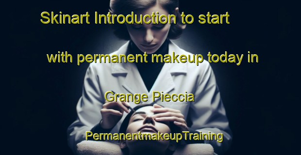 Skinart Introduction to start with permanent makeup today in Grange Pieccia | PermanentmakeupTraining | PermanentmakeupClasses | SkinartTraining-Italy