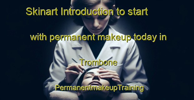 Skinart Introduction to start with permanent makeup today in Trombone | PermanentmakeupTraining | PermanentmakeupClasses | SkinartTraining-Italy