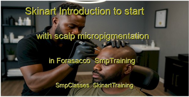 Skinart Introduction to start with scalp micropigmentation in Forasacco | SmpTraining | SmpClasses | SkinartTraining-Italy