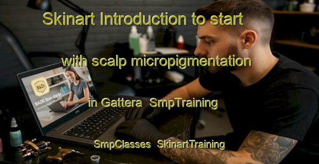 Skinart Introduction to start with scalp micropigmentation in Gattera | SmpTraining | SmpClasses | SkinartTraining-Italy