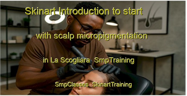 Skinart Introduction to start with scalp micropigmentation in La Scogliara | SmpTraining | SmpClasses | SkinartTraining-Italy