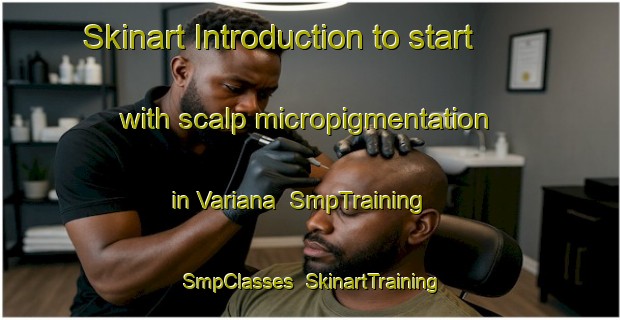 Skinart Introduction to start with scalp micropigmentation in Variana | SmpTraining | SmpClasses | SkinartTraining-Italy