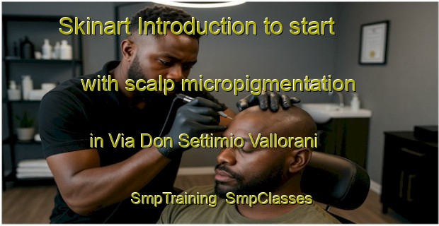 Skinart Introduction to start with scalp micropigmentation in Via Don Settimio Vallorani | SmpTraining | SmpClasses | SkinartTraining-Italy