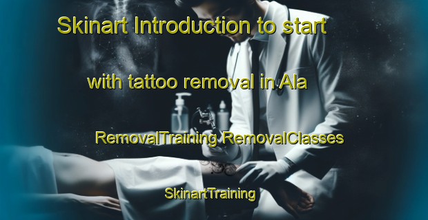 Skinart Introduction to start with tattoo removal in Ala | #RemovalTraining #RemovalClasses #SkinartTraining-Italy