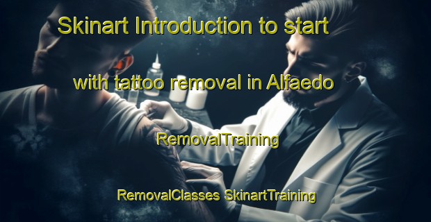 Skinart Introduction to start with tattoo removal in Alfaedo | #RemovalTraining #RemovalClasses #SkinartTraining-Italy