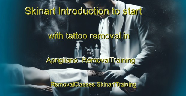 Skinart Introduction to start with tattoo removal in Aprigliano | #RemovalTraining #RemovalClasses #SkinartTraining-Italy