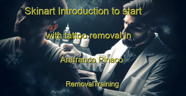 Skinart Introduction to start with tattoo removal in Arafranco Pinaco | RemovalTraining | RemovalClasses | SkinartTraining-Italy