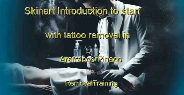 Skinart Introduction to start with tattoo removal in Arafranco Pinaco | RemovalTraining | RemovalClasses | SkinartTraining-Italy