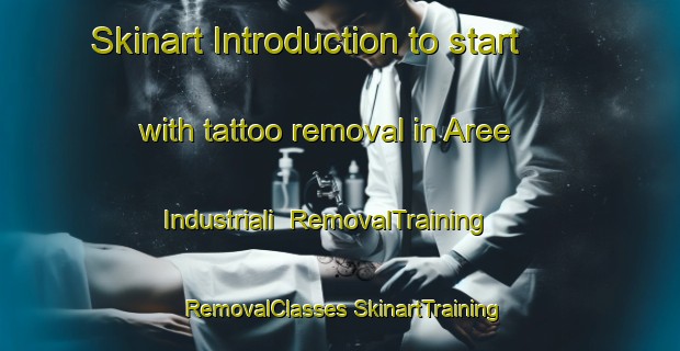 Skinart Introduction to start with tattoo removal in Aree Industriali | #RemovalTraining #RemovalClasses #SkinartTraining-Italy