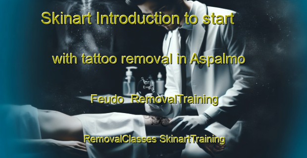 Skinart Introduction to start with tattoo removal in Aspalmo Feudo | #RemovalTraining #RemovalClasses #SkinartTraining-Italy