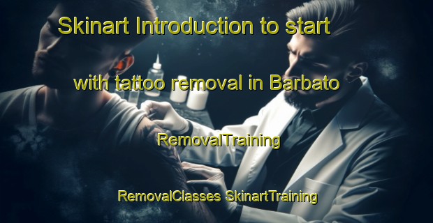 Skinart Introduction to start with tattoo removal in Barbato | #RemovalTraining #RemovalClasses #SkinartTraining-Italy