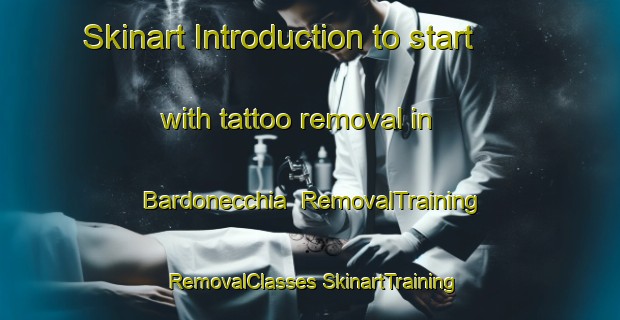 Skinart Introduction to start with tattoo removal in Bardonecchia | #RemovalTraining #RemovalClasses #SkinartTraining-Italy