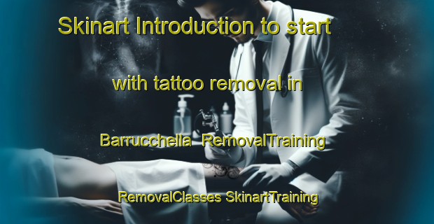 Skinart Introduction to start with tattoo removal in Barrucchella | #RemovalTraining #RemovalClasses #SkinartTraining-Italy