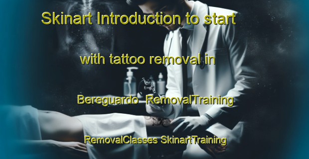 Skinart Introduction to start with tattoo removal in Bereguardo | #RemovalTraining #RemovalClasses #SkinartTraining-Italy