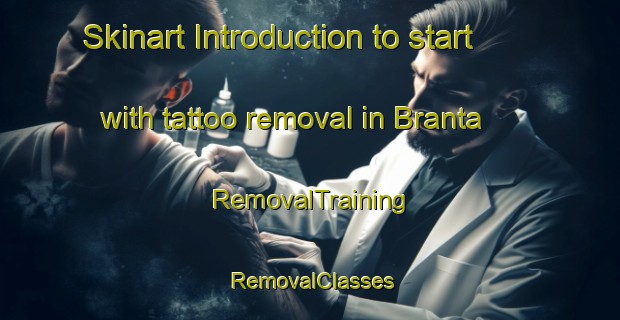 Skinart Introduction to start with tattoo removal in Branta | RemovalTraining | RemovalClasses | SkinartTraining-Italy
