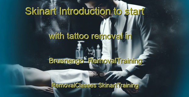 Skinart Introduction to start with tattoo removal in Brusnengo | #RemovalTraining #RemovalClasses #SkinartTraining-Italy